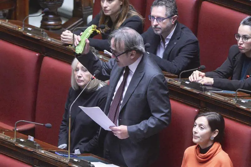 Ortaggi, mani nere e cartelli. L'opposizione trasforma l'Aula in un mercato